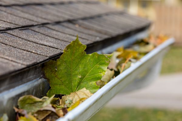 Gutter System Cleaning in Ocean City