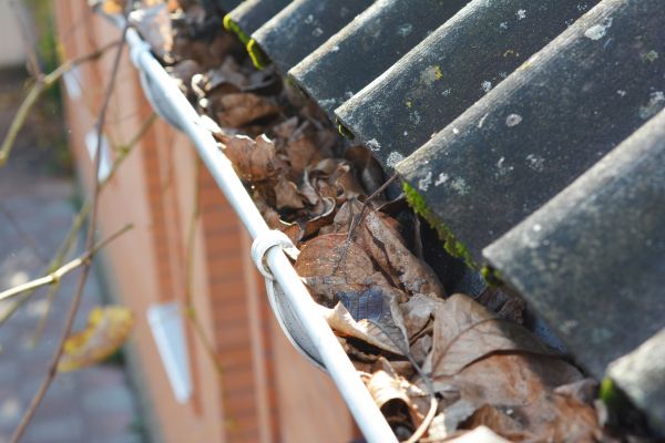 Home Gutter Cleaning in Ocean City